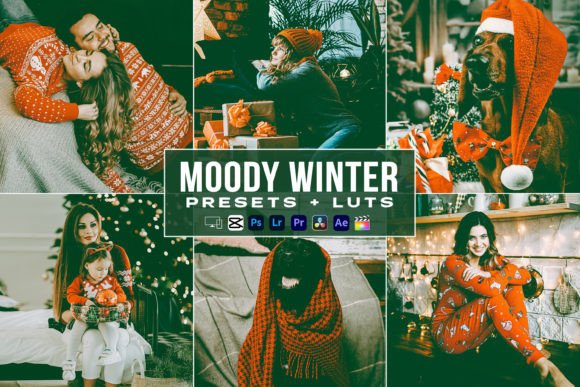Moody Winter Video Luts and Presets: Elevating Cold-Weather Content Creation